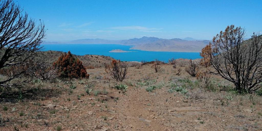 The Pah Rah Range – Bikepacking Northern Nevada