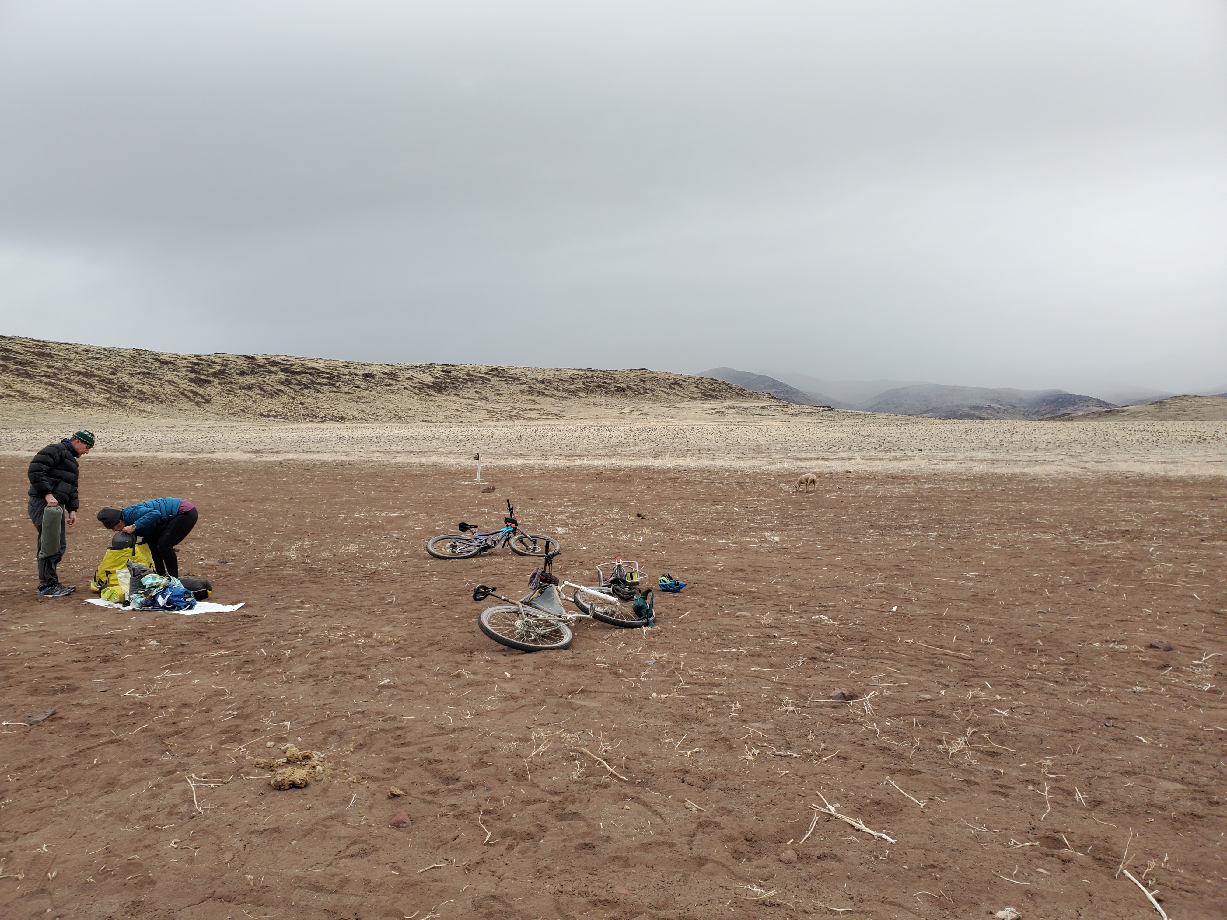 High Basin Pah Rah Petroglyphs; S24O Local Overnight – Bikepacking ...